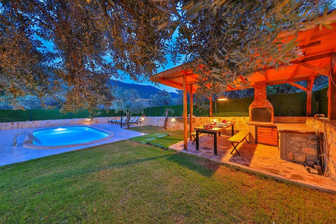 Villa Candan Kas 0*,